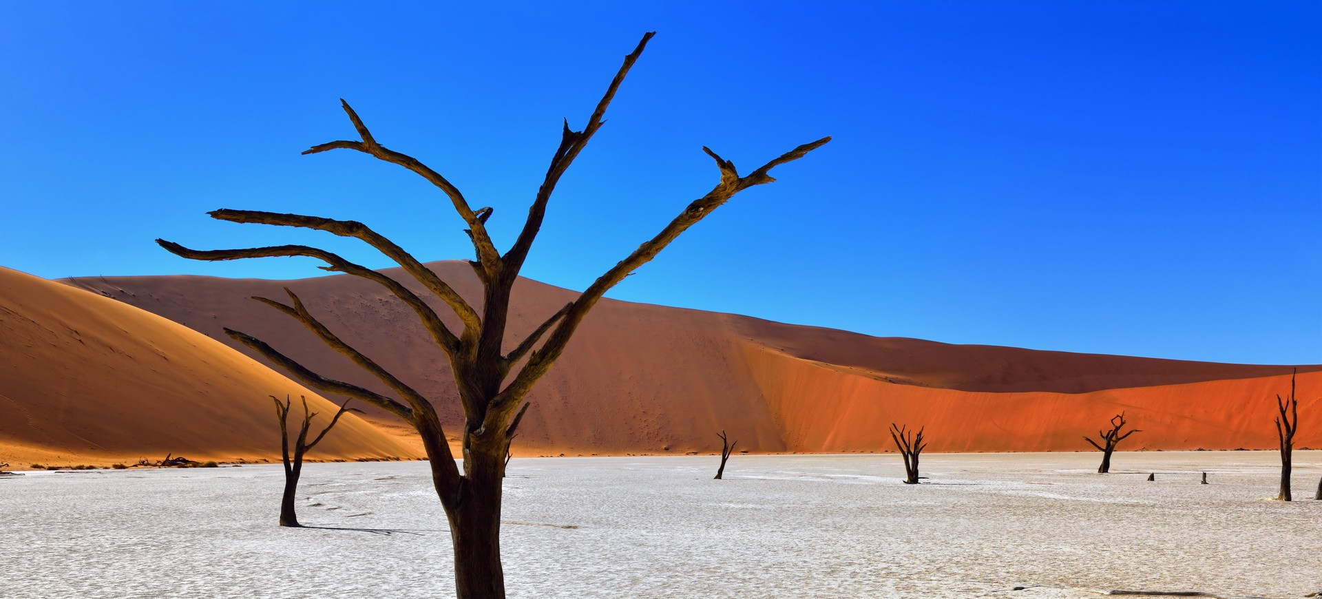 Waterberg, Etosha et Namib