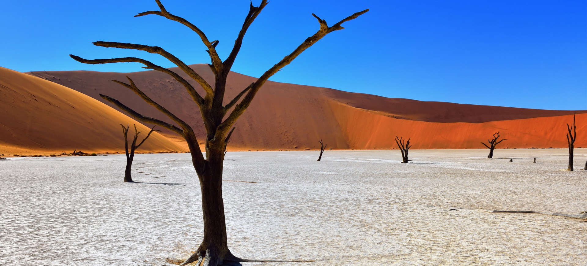 désert de namib