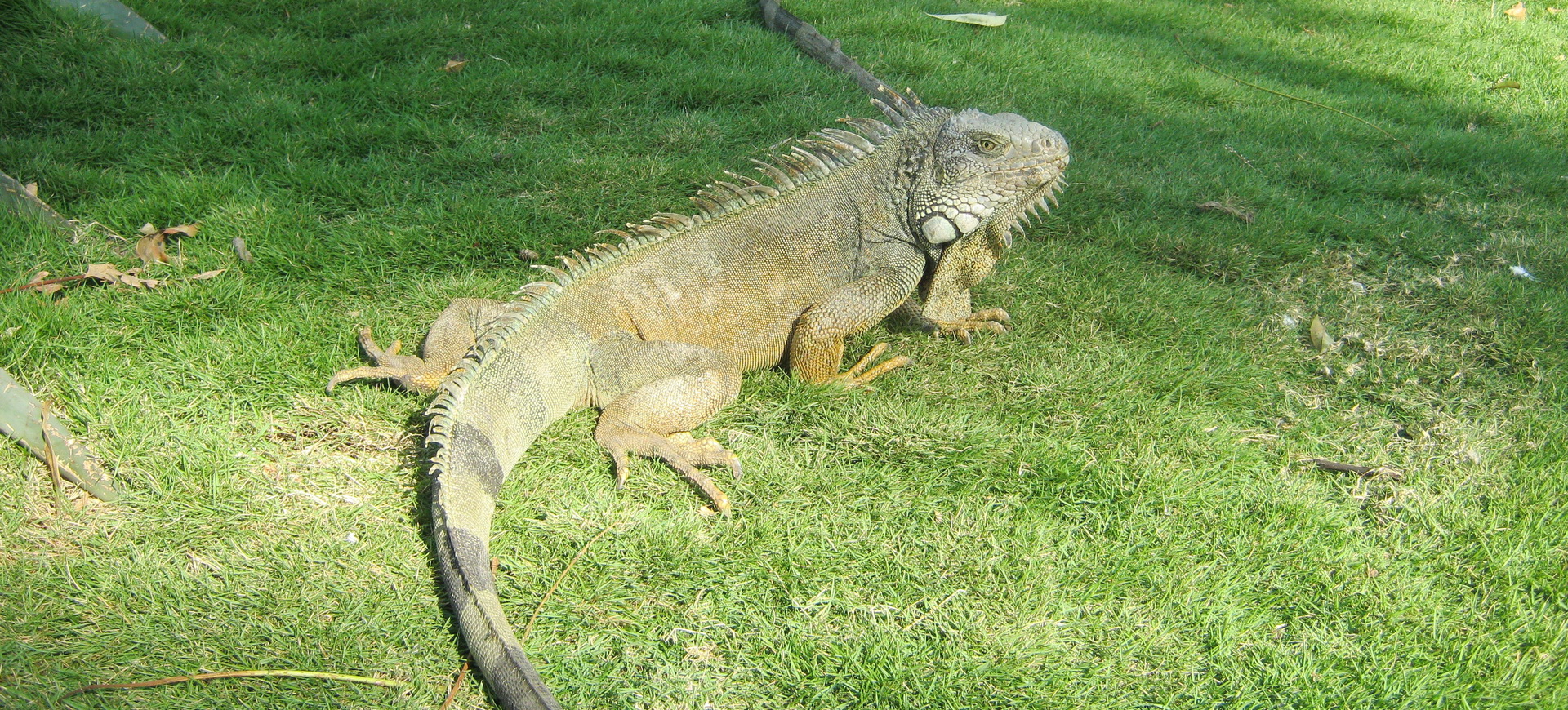 Conseils pratiques Equateur