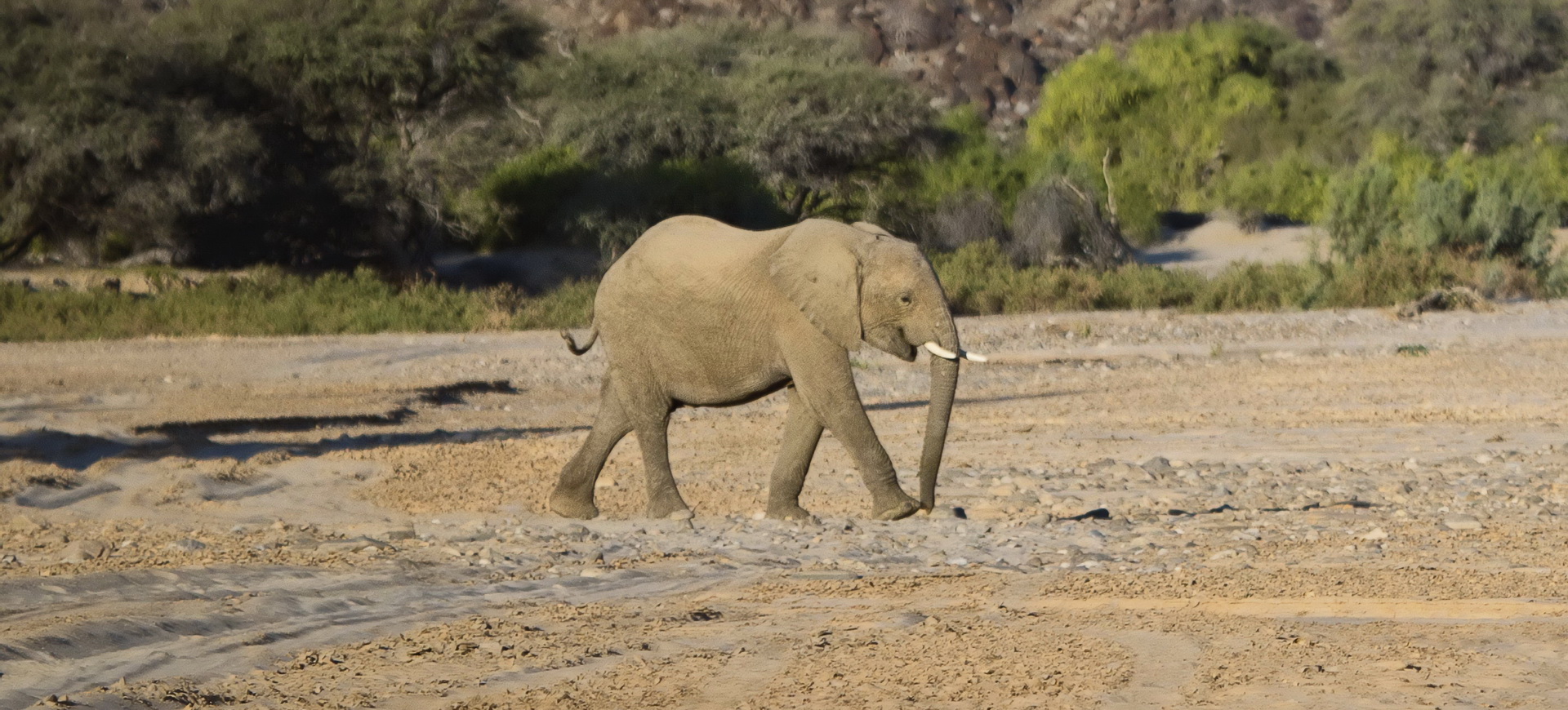 Conseils pratiques pour un voyage en Namibie