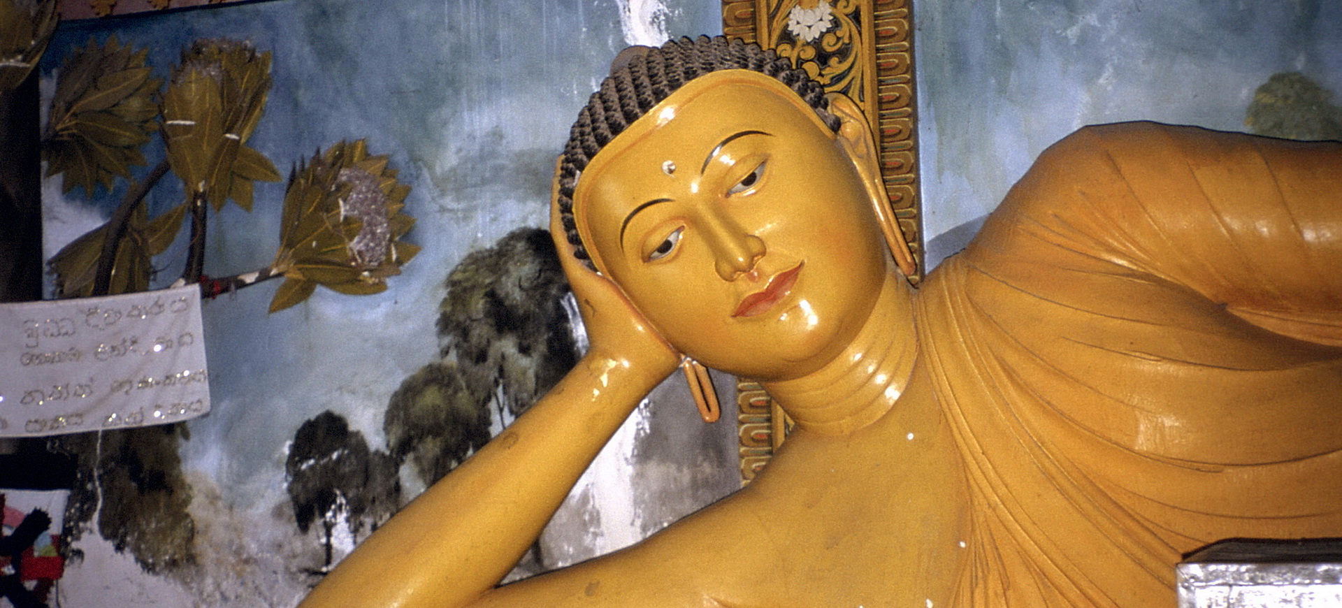 Conseils pratiques Sri Lanka